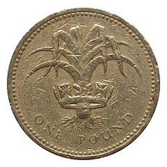 Image showing Pounds