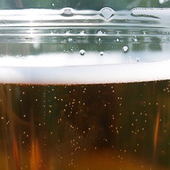 Image showing Pint of beer