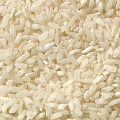 Image showing Rice