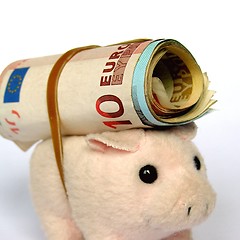 Image showing Pig with money