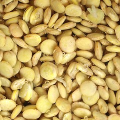 Image showing Lentils