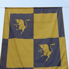 Image showing Turin flag