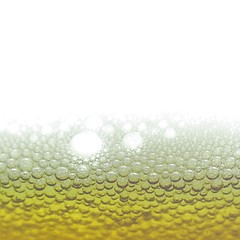 Image showing Beer