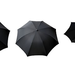 Image showing Umbrella