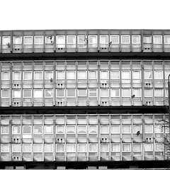 Image showing Robin Hood Gardens, London