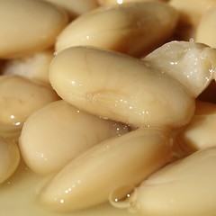 Image showing Beans