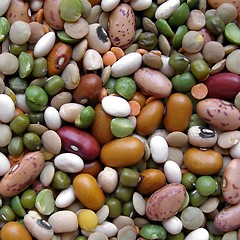 Image showing Beans