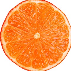 Image showing Orange