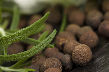 Image showing allspice with fresh rosemary