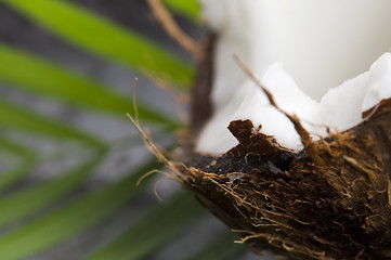 Image showing coconut and palm leaf. exotic scene