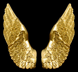 Image showing Golden Wings