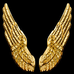 Image showing Golden Wings