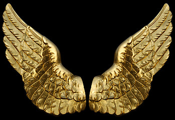 Image showing Golden Wings