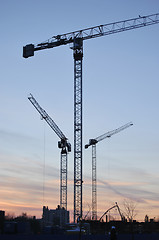 Image showing Three Building Cranes