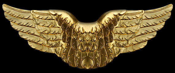 Image showing Golden Wings