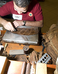 Image showing man hand rolling cigars