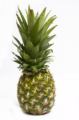 Image showing Small pineapple 