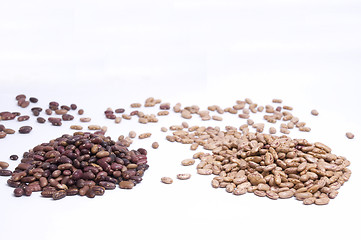 Image showing kidney and pinto beans
