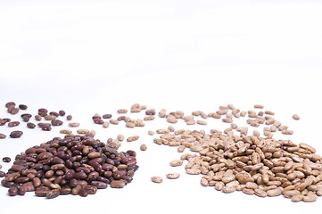 Image showing close up on kidney and pinto beans