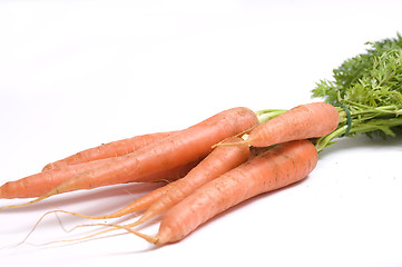 Image showing garden carrots