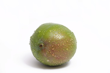 Image showing fresh mango