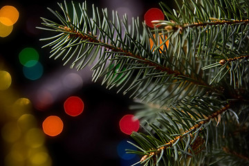 Image showing Christmas decorations on black