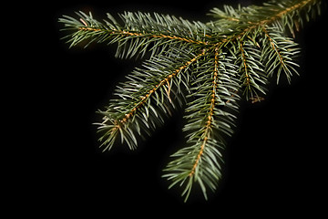 Image showing Christmas decorations on black