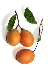 Image showing Exotic Thai Fruit. Maprang, Marian plum, Gandaria, Marian mango, Plum mango