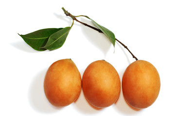 Image showing Exotic Thai Fruit. Maprang, Marian plum, Gandaria, Marian mango, Plum mango