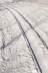 Image showing Tracks in the snow