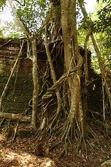 Image showing Runs of ancient Cambodian temple