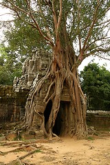 Image showing Runs of ancient Cambodian temple