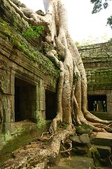 Image showing Runs of ancient Cambodian temple