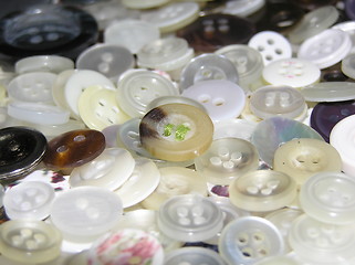 Image showing button collection