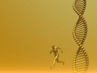 Image showing human dna