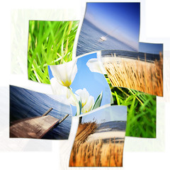 Image showing Nature collage.