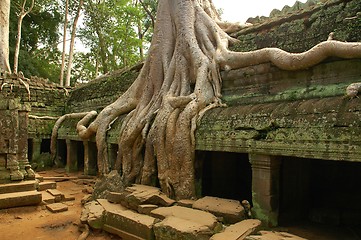 Image showing Runs of ancient Cambodian temple