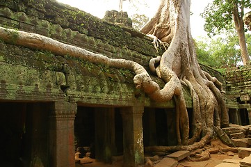 Image showing Runs of ancient Cambodian temple