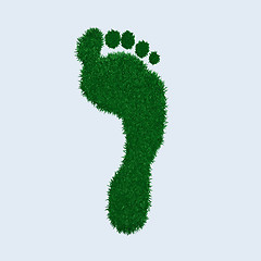 Image showing Green Grass Footprint