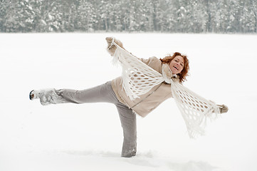 Image showing Winters joy