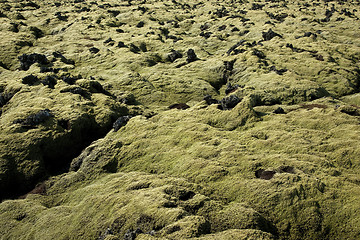 Image showing Icelandic landscape