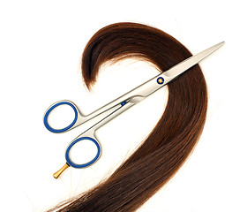 Image showing Scissors and hair