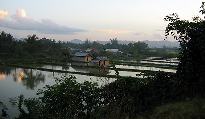 Image showing The call of nature. Luang Nam Tha. Laos