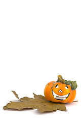 Image showing Halloween series on white