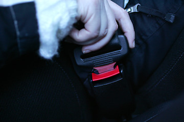 Image showing Seatbelt