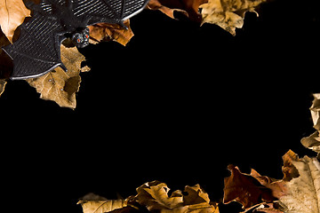 Image showing Halloween series on black