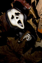 Image showing Halloween series on black