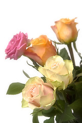 Image showing Pastel roses