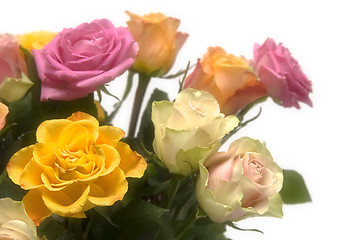 Image showing Pastel roses