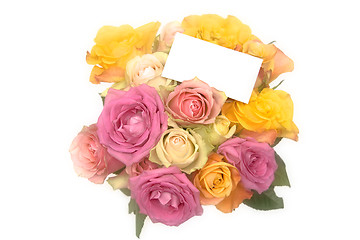 Image showing Pastel roses